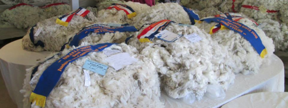 Wool